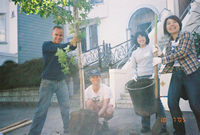 tree planting volunteer