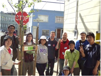 tree planting volunteer